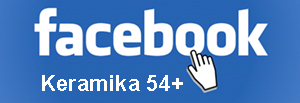 Facebook54+