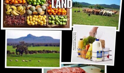 Prodajmo proizvode, ne zemlju! Proizvođači hrane trebaju podršku.