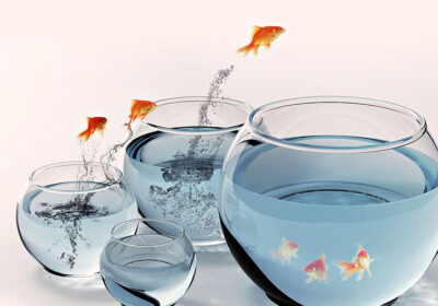 NECE konferencija u Zagrebu: migracije i građansko obrazovanje