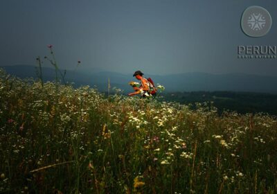Samozapošljavanje: Sakupljanje samoniklog bilja