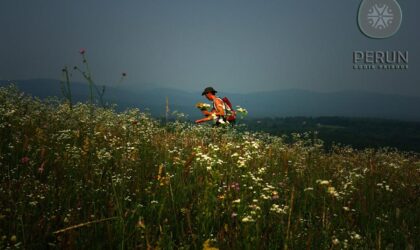 Samozapošljavanje: Sakupljanje samoniklog bilja