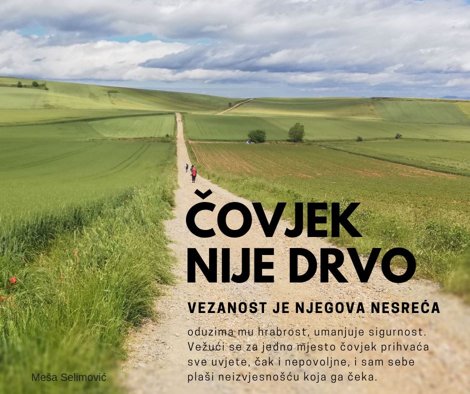 Čovjek nije drvo