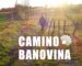 Camino Banovina – ruta koju možete prehodati u četiri dana