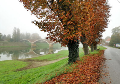 CAMINO BANOVINA 1. dan: Sisak-Petrinja 16 km