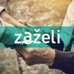 zazeli GRAK web
