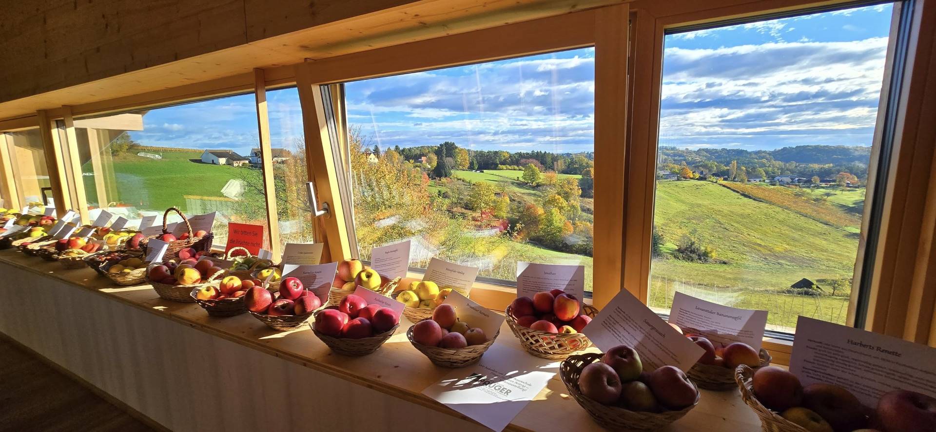 Burgauberg Neudauberg